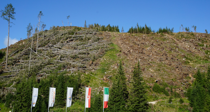 Waldschäden hinter der Moseralm