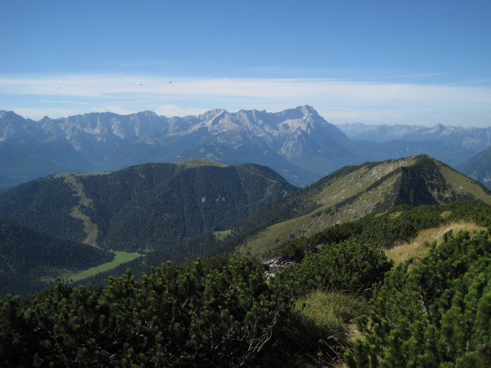 Blick zum Hohen Fricken, Wank), Wetterstein mit Alpspitze und Zugspitze