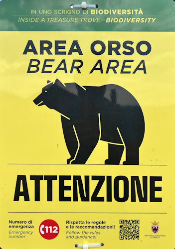 BearArea