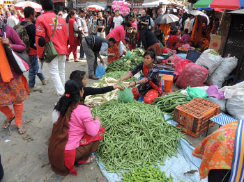 Nepal Trekking Kathmandu