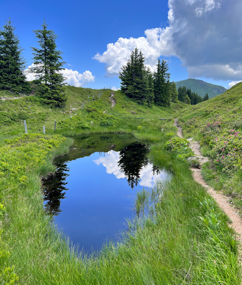 Salzburg-Triest Spiegelung im Wasser