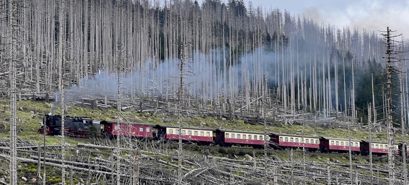 Brockenbahn