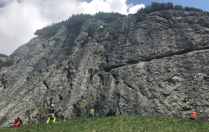 Sektion Teufelskralle