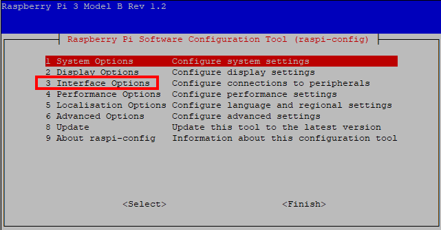 Raspberrry Pi raspi-config