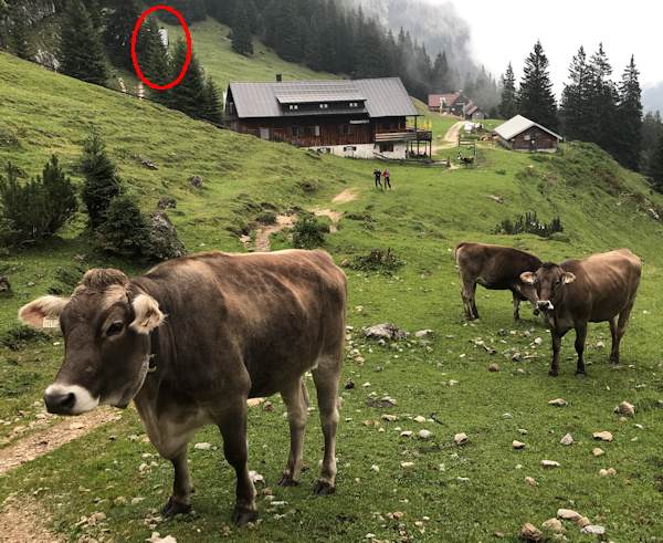 Willi-Merkl-Hütte (Selbstversorger Hütte), Füssener Hütte, Otto-Mayr-Hütte