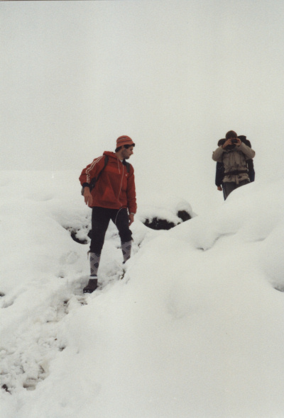 Allgäu 1985