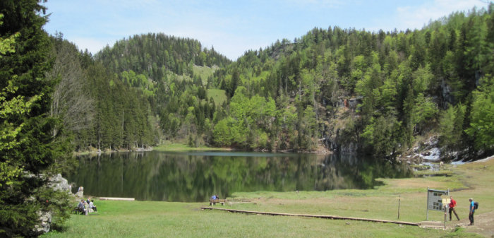 Taubensee