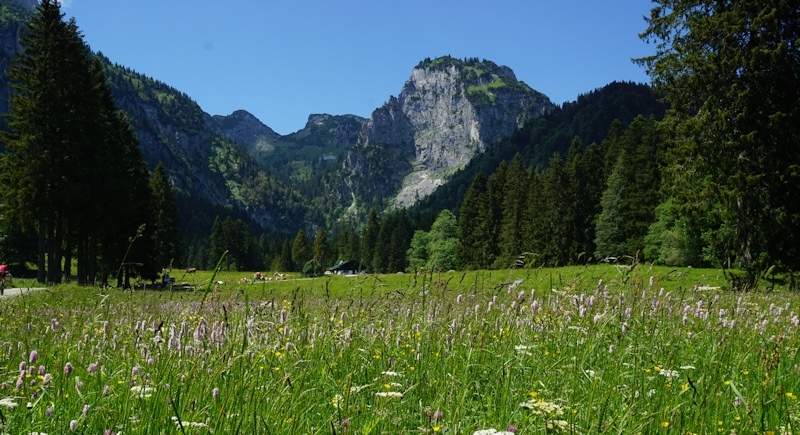 Blick auf die Hintere Längental Alm und die markante Probstenwand